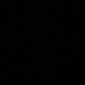 Meet your Posher, Marco